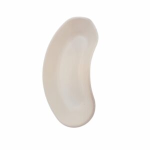 Riñón Biodegradable Estéril