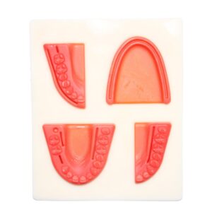 Piel de sutura para entrenamiento Dental